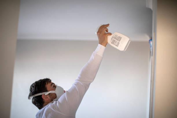 Best Mold Remediation for Specific Building Types in Prichard, AL