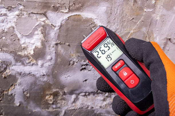 Best Post-Remediation Services in Prichard, AL