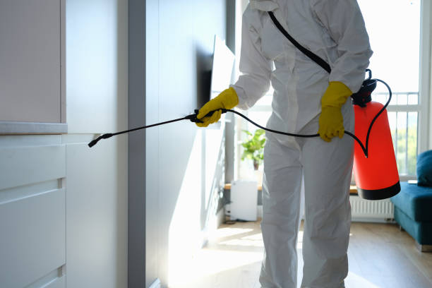 Best DIY Mold Remediation Support Services in Prichard, AL