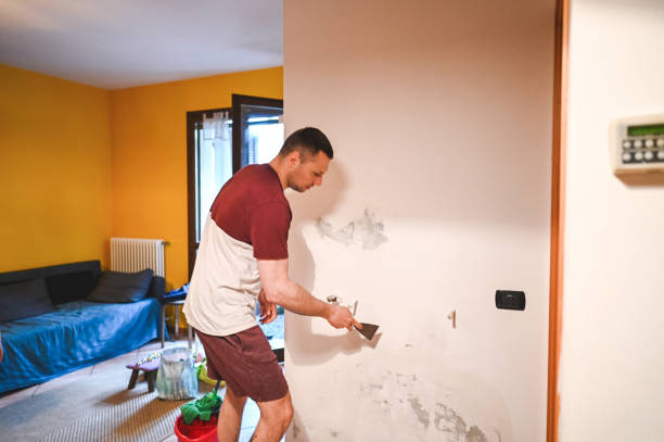 Best Residential Mold Remediation in Prichard, AL